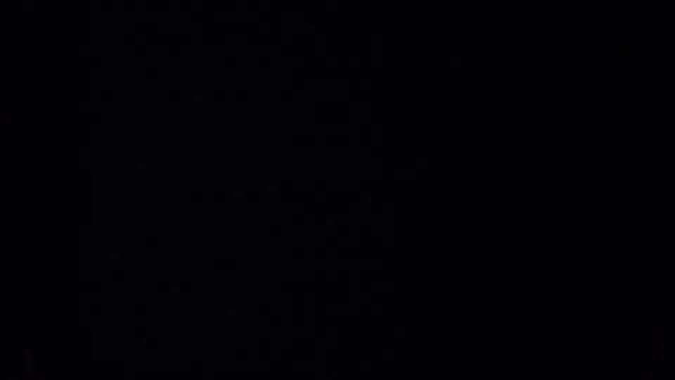 A mostly underexposed 1957 home-movie frame from the San Francisco zoo clip, with no clear animal detail visible.