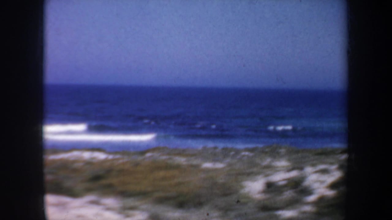 Blue ocean surf beyond low sandy dunes and sparse beach vegetation.