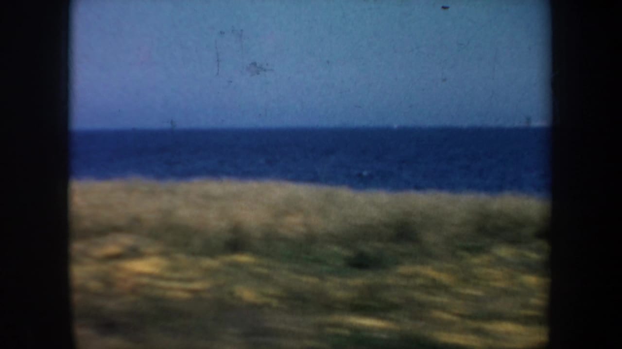 Ocean and grassy shoreline seen through dark car-window edges.