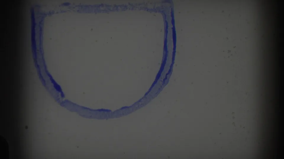 Faint 1959 8mm frame with a blue outlined mark or partial lettering above an otherwise blank, grainy surface.