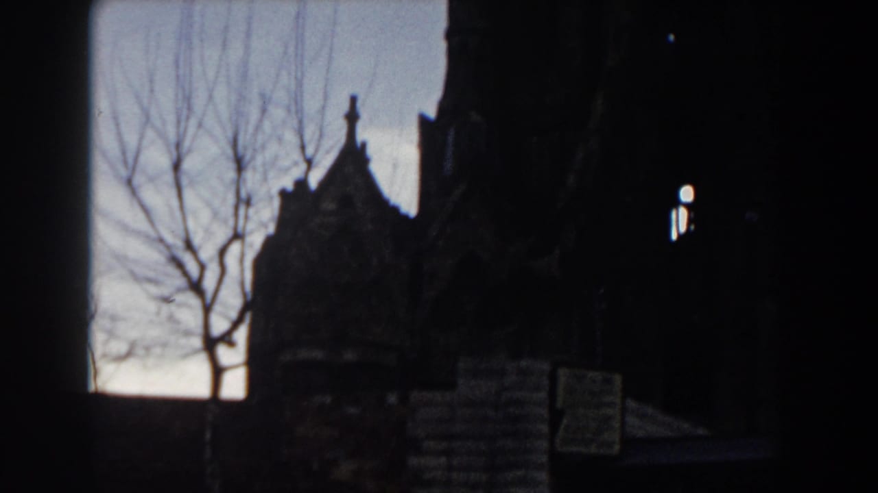 Dark Gothic building silhouette with bare branches against a pale sky.