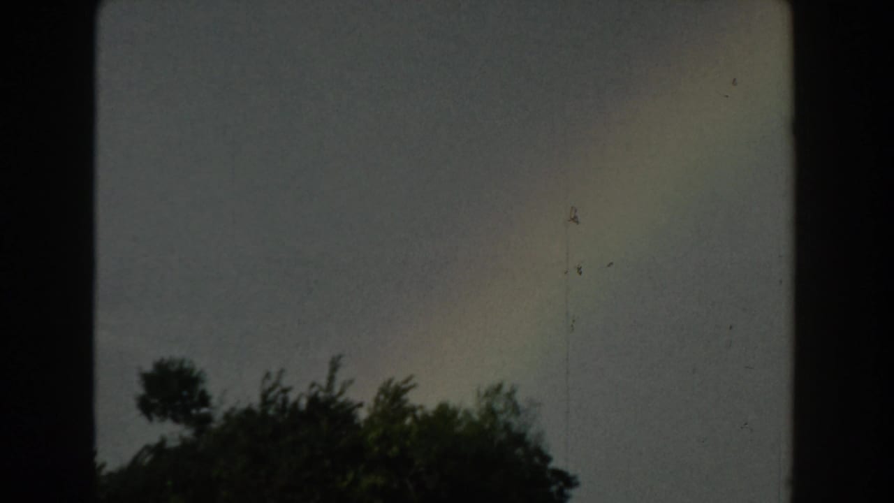 Rainbow over silhouetted treetops beneath a dark clouded sky.