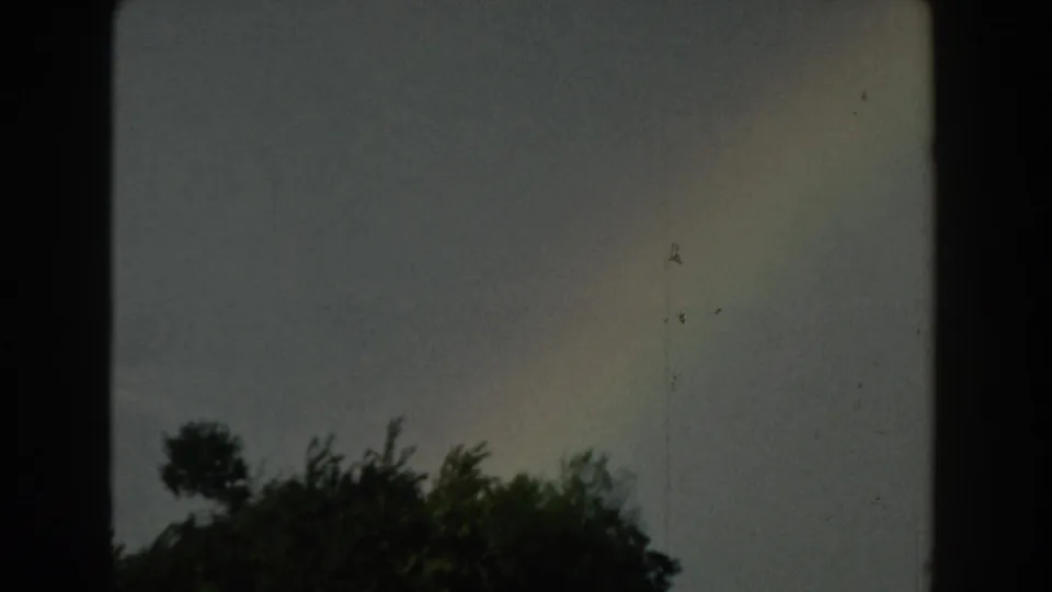 Rainbow and silhouetted treetops under a clouded Michigan sky in 1959 8mm footage, with scratches and gate edges visible.