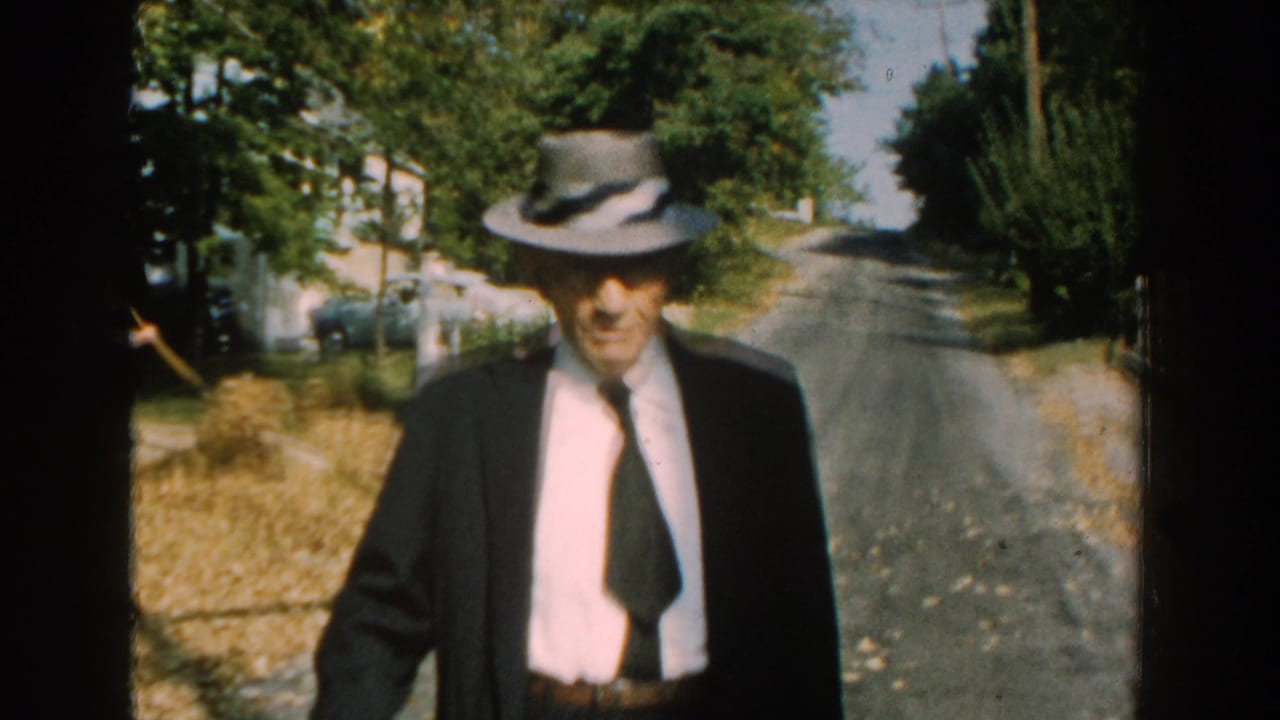 Man in a dark suit and fedora walking near the center of a quiet road lined with trees.