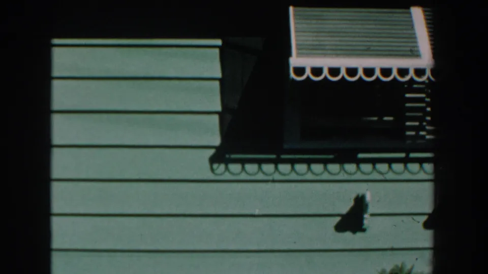 The final frame shows a suburban house exterior with horizontal siding, a window awning, and dark shadow from the camera position.