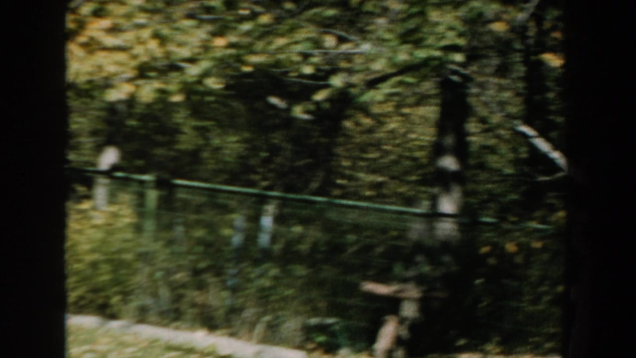 1959 Michigan 8mm frame showing a blurred passing view of grass, trees, fencing, and a shaded residential yard.