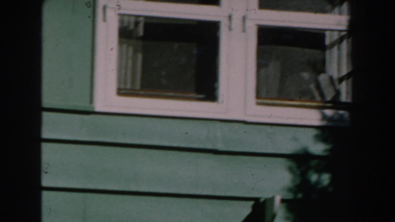 Green house siding with a white-trimmed window and dark shadows at the edge of frame.