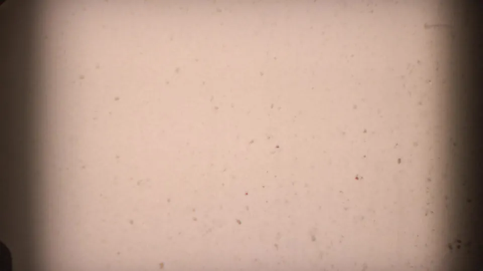 A pale, nearly blank 8mm frame shows dust specks and dark edge exposure between visible yard shots.
