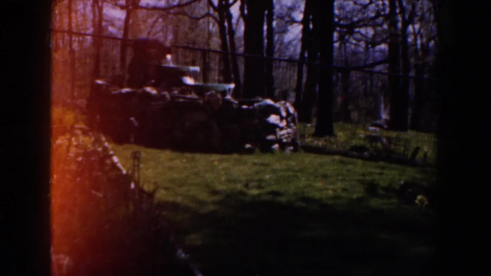 A darker yard view shows lawn, trees, fencing, and a stone garden feature with reddish film flare.