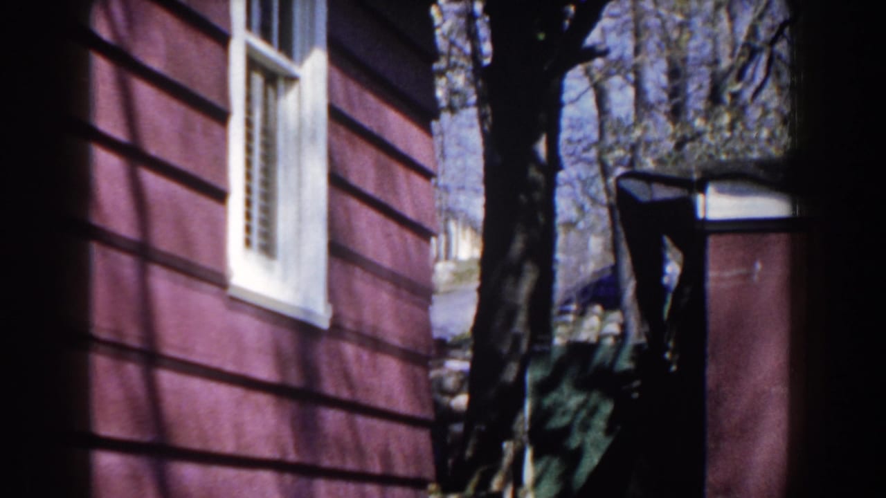 Red house siding with white-trimmed window beside trees and a small covered structure.