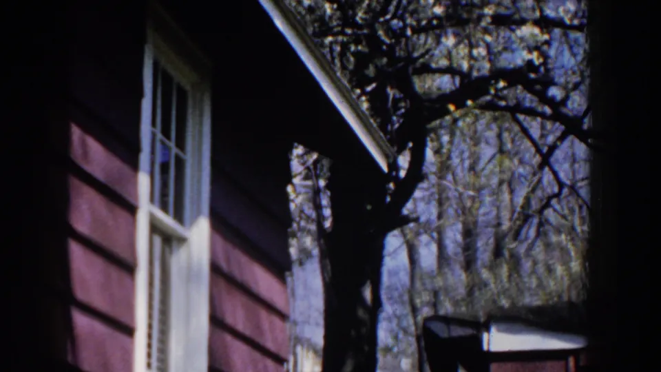 1959 Michigan exterior detail of a red house wall with white window trim, roofline, bare branches, and a small covered yard feature.