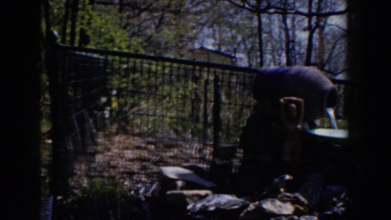 1959 Michigan garden view with a ceramic pitcher fountain, black metal fence, rocks, and trees in uneven sunlight.
