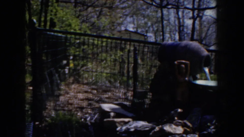 1959 Michigan garden view with a ceramic pitcher fountain, black metal fence, rocks, and trees in uneven sunlight.