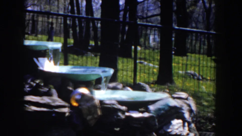 1959 Michigan 8mm frame showing the lower fountain basins, water spill, dark stones, metal fence, grassy ground, and tree trunks.