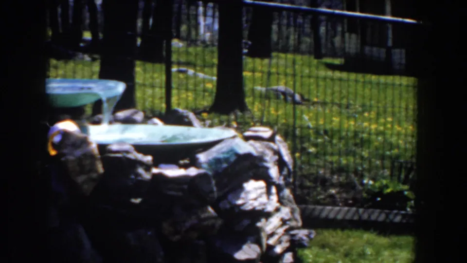 1959 Michigan home-movie frame of a green garden fountain with water, dark rock edging, metal rail fence, lawn, and leafless trees.