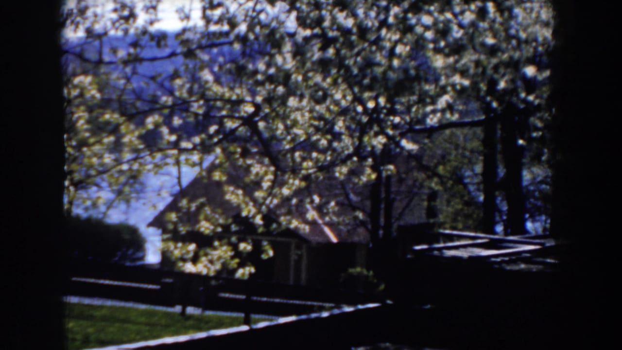 Trees and cabin structures seen through a dark window frame near water.
