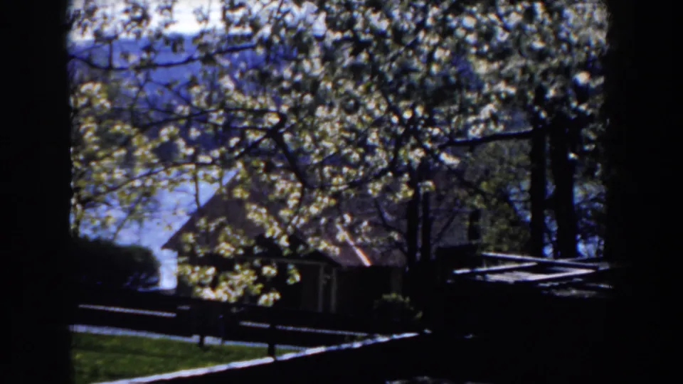 1959 Michigan 8mm frame showing leafy trees, cabin-like structures, and water beyond a dark foreground window frame.