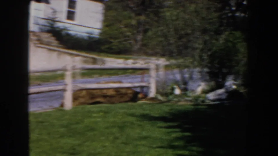 1959 Michigan suburban yard with a split-rail fence, paved street, green grass, trees, and neighboring houses in view.
