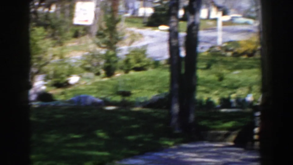 1959 Michigan home-movie view of a landscaped front yard with trees, lawn, planting beds, a roadside sign, and street beyond.