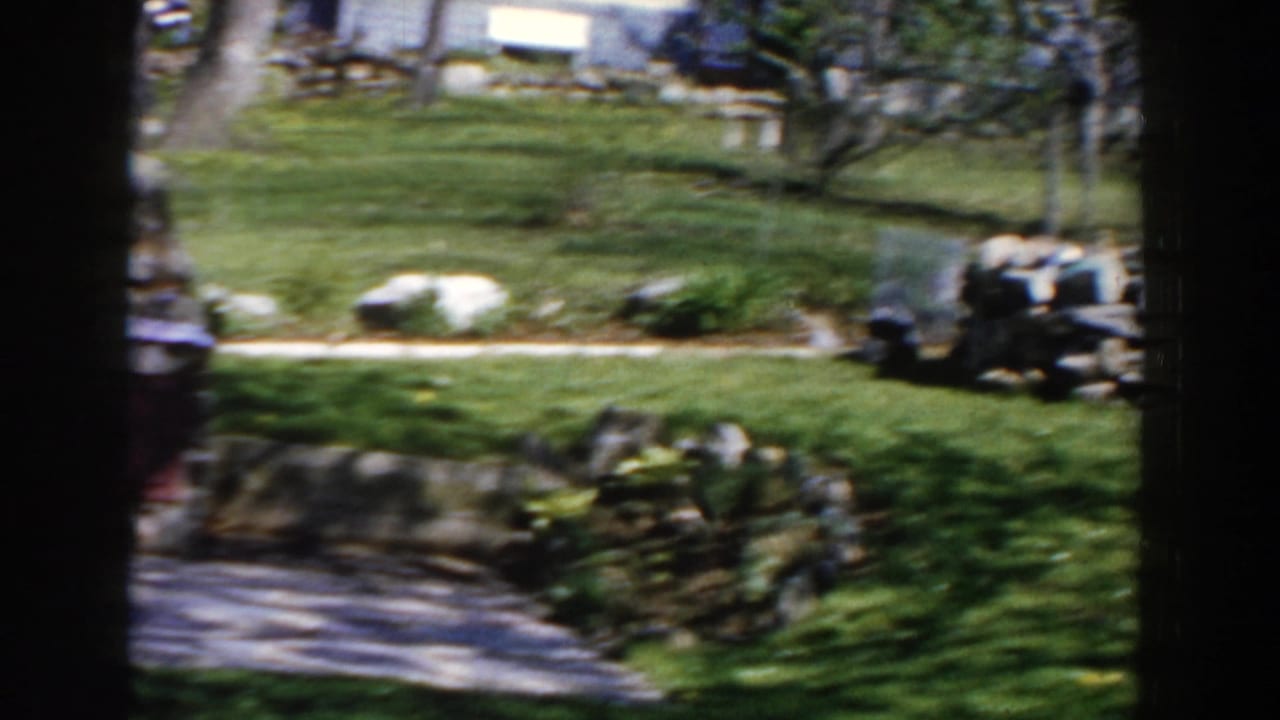 Suburban backyard with lawn, stone wall, trees and house beyond dark frame edges.