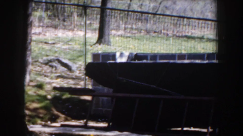 Shadowed 1959 home-movie view from a porch or window toward a Michigan yard with lawn, tree, fence, and masonry.