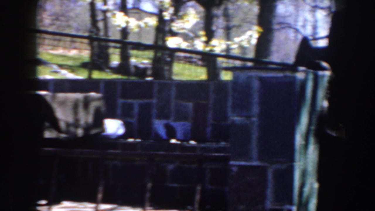 Stone-walled outdoor area with a tree trunk, railings, a table, and chairs.