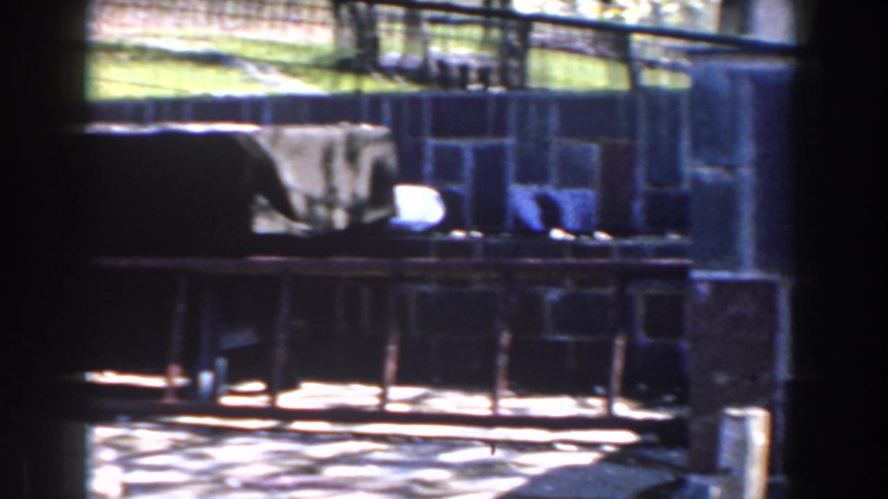 Outdoor stone wall with a covered table, chairs, railings, and tree shadows.
