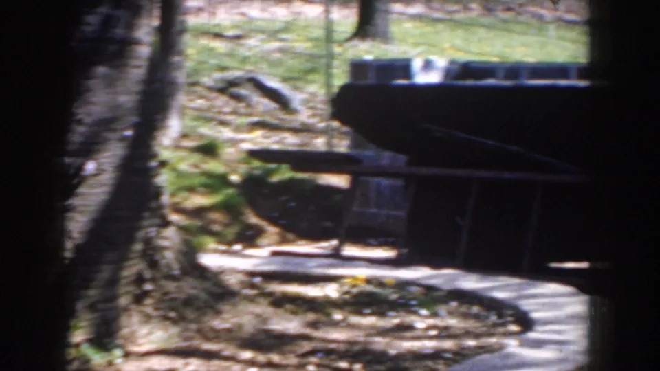 1959 Michigan 8mm frame showing a tree-lined walkway, low stone wall, and scattered outdoor objects in partial shade.