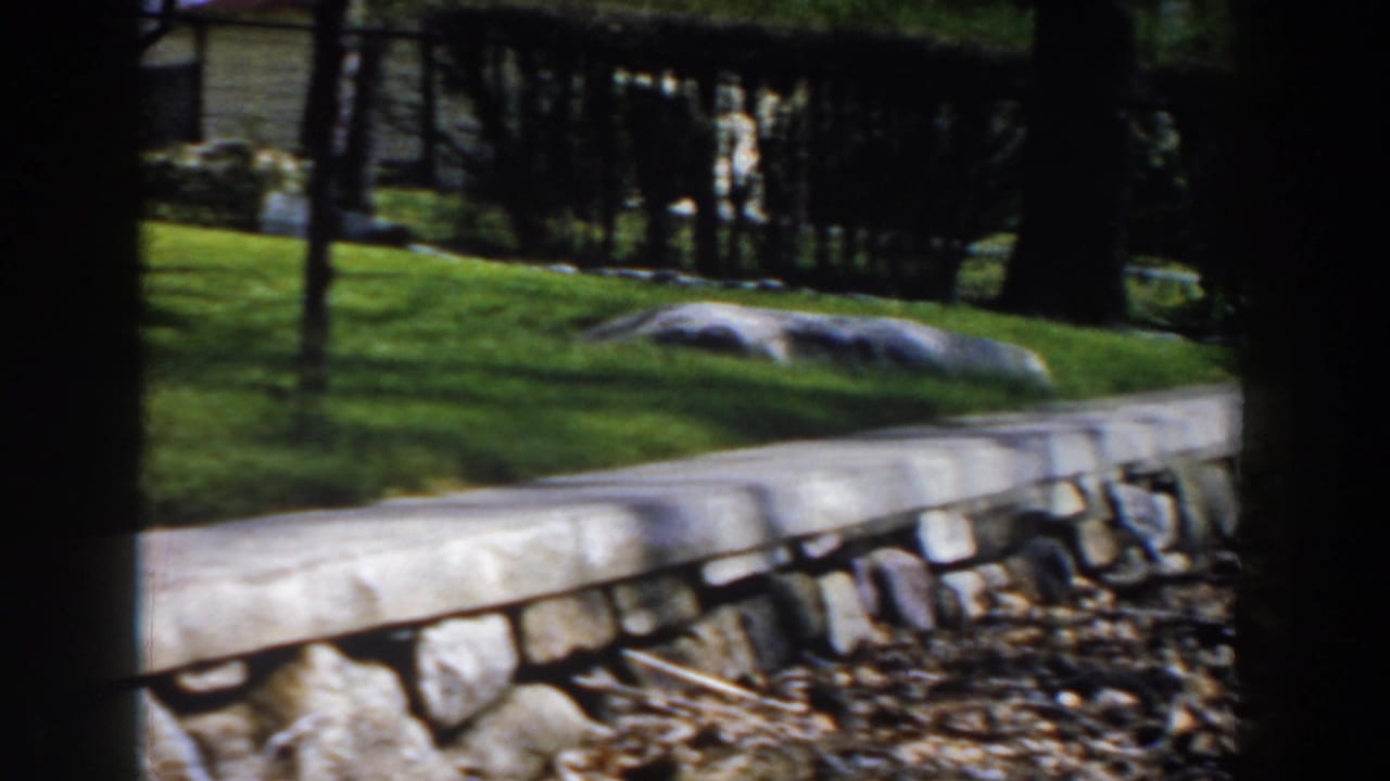 1959 Michigan home-movie frame showing a stone retaining wall, green lawn, rocks, trees, and leaf litter in a backyard setting.
