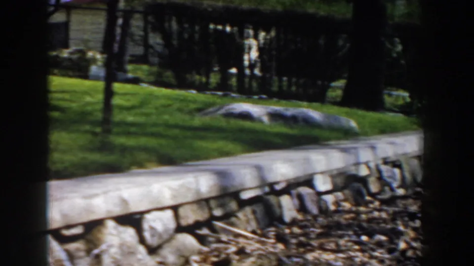 1959 Michigan home-movie frame showing a stone retaining wall, green lawn, rocks, trees, and leaf litter in a backyard setting.