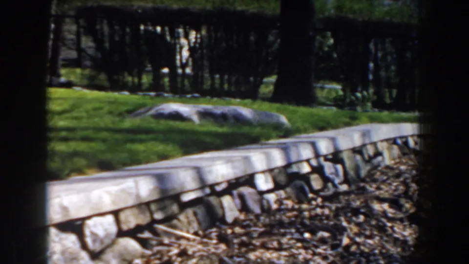1959 backyard frame with grass, pale landscape rocks, trees, and a low stone wall captured on 8mm film.