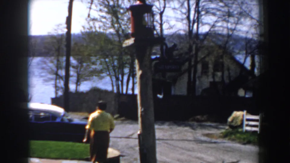 Near the end of the clip, the woman walks away beside the curb while a signpost, fence, houses, trees, parked car, and lake remain visible.