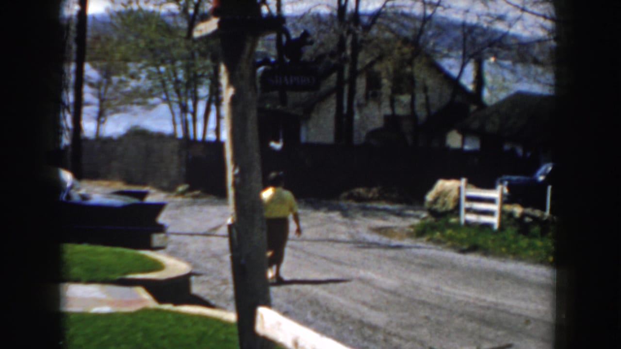 Older woman in a yellow blouse walks down a residential street near a parked car and lakeside houses.