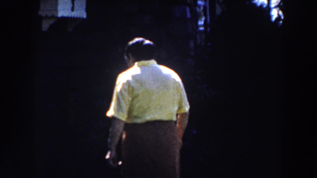 Woman seen from behind walking into a shadowed yard.