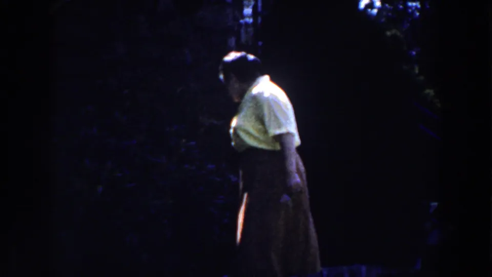 Adult woman in profile stands or walks in a yellow blouse and brown skirt against a dark yard backdrop.