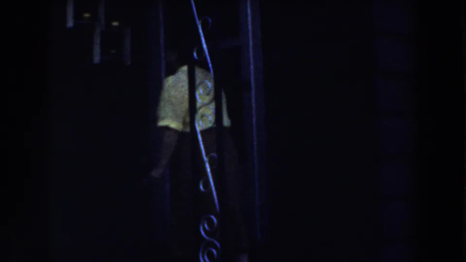 The woman moves through the porch entrance, partly hidden by the doorway and decorative metalwork in the low-light frame.