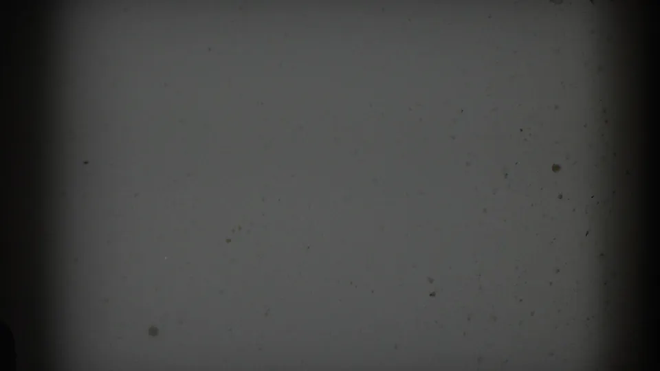 The final frame shows a muted gray film surface with dark side borders, scattered specks, and soft exposure from the 8mm scan.