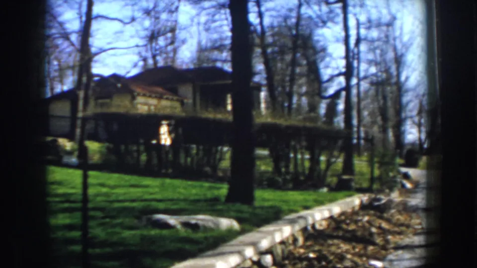 1959 Michigan home-movie view of a green lawn, stone border, leafless trees, and neighboring houses near a road.