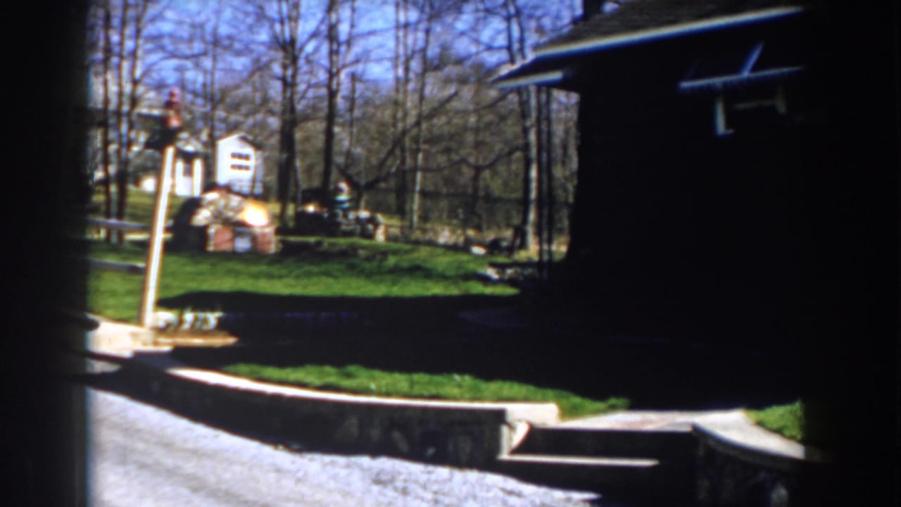 Sunny yard with pale wooden fence, small shed, lawn, trees, and yard objects.