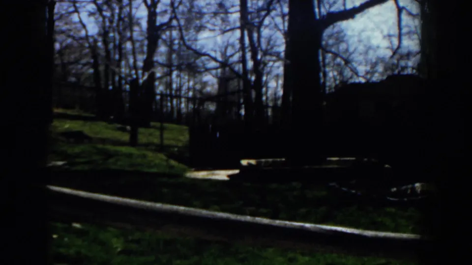 Shadowed 1959 Michigan 8mm view of a grassy roadside property with trees, fence line, and a dark house or outbuilding shape.