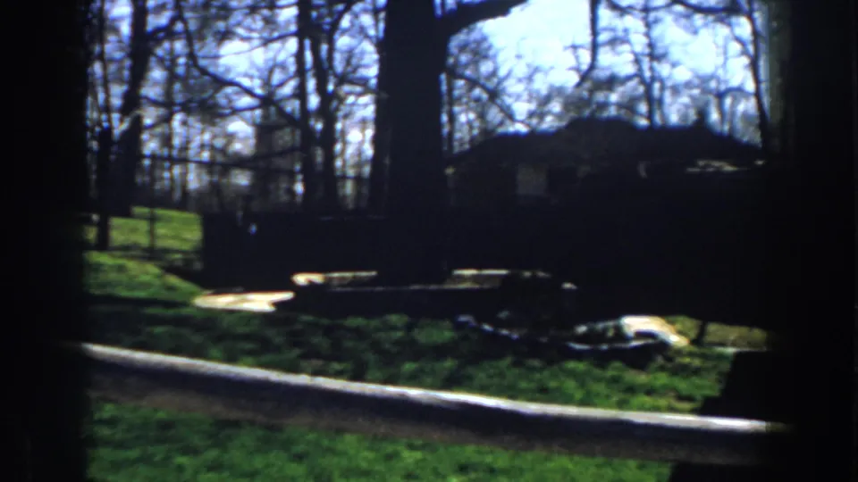 1959 Michigan 8mm frame showing roadside grass, bare trees, a shadowed building, and bright pavement edge during a moving pass.