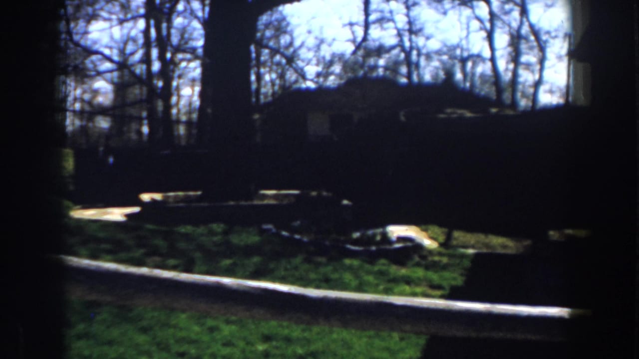 1959 Michigan 8mm view through a dark frame toward a grassy yard, bare trees, and a small outbuilding or house edge.