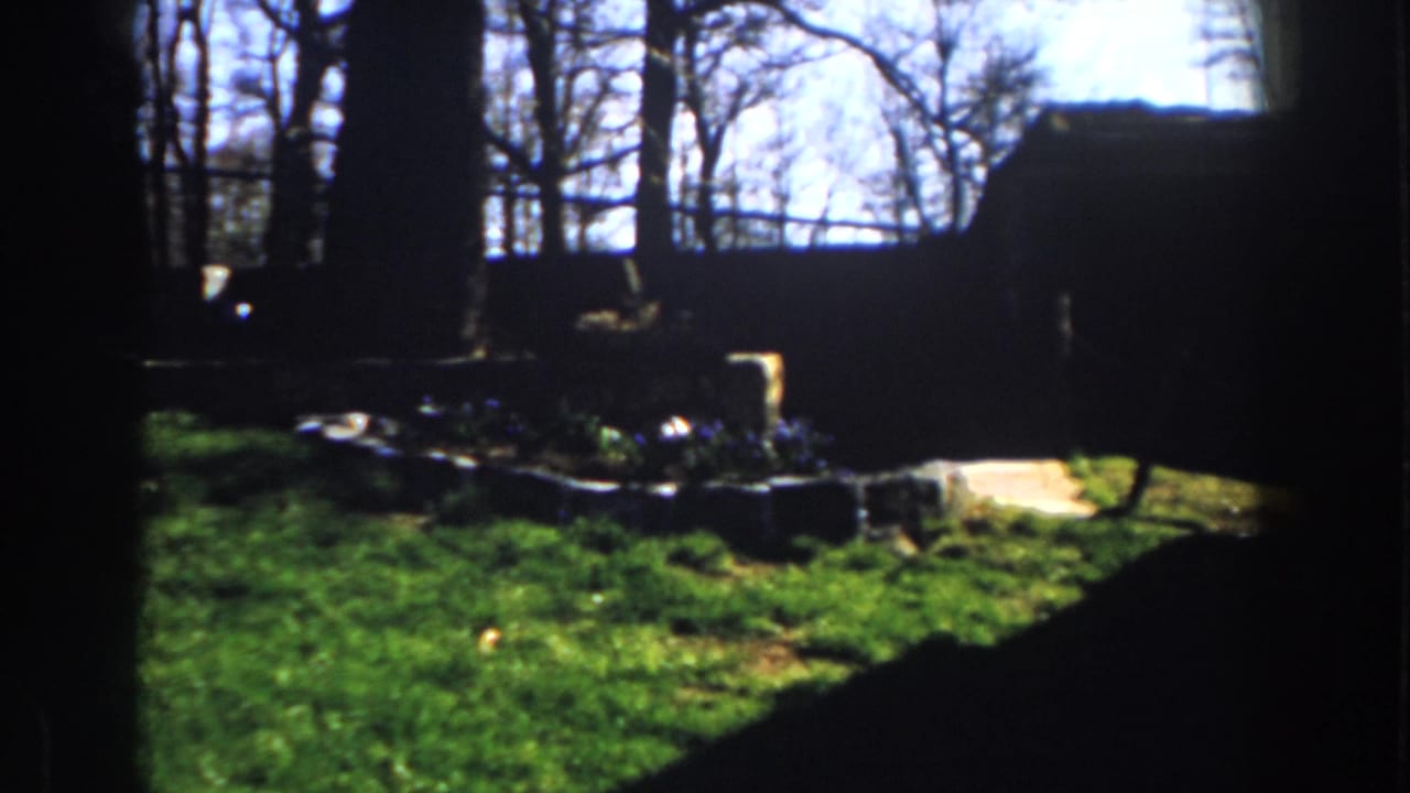 1959 Michigan 8mm frame showing a sunlit backyard from shade, with lawn, bare trees, low stone-edged planting beds, and flowers.