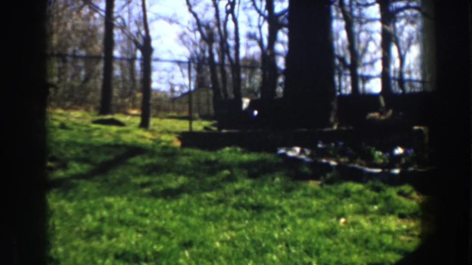 1959 Michigan 8mm frame of a backyard lawn with bare trees, a rear fence, low planting beds, and strong shade along the frame edge.