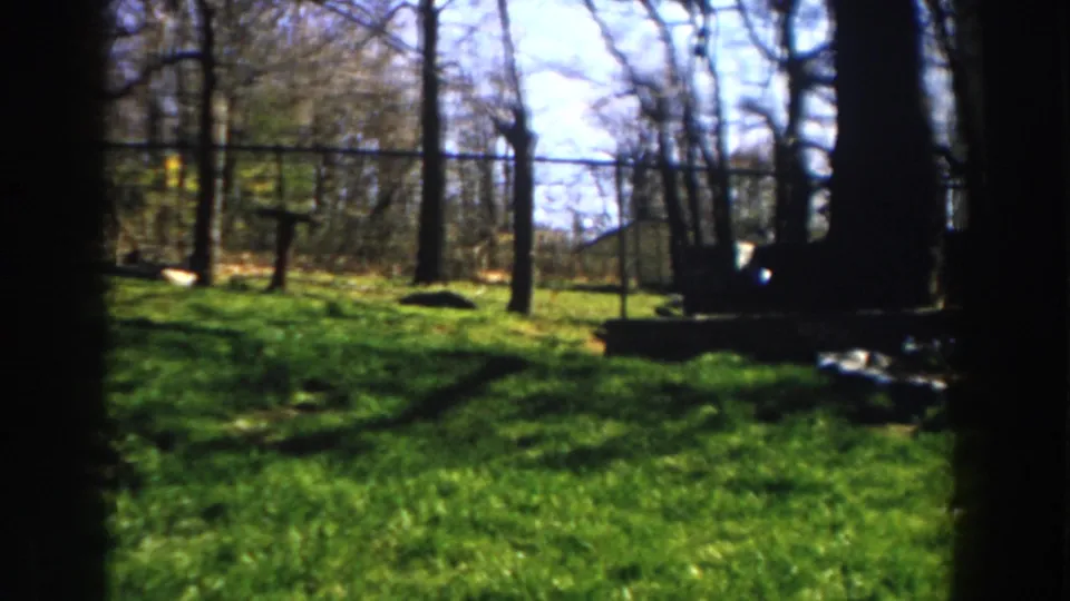 1959 Michigan backyard frame with open grass, trees, a chain-link fence, dark foreground shadow, and a small distant house or outbuilding shape.