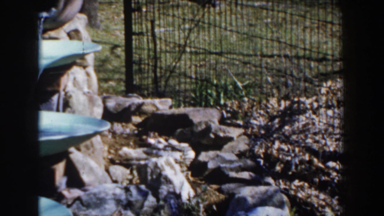Outdoor fountain partly framed at left with stones, grass, wire fence, and trees.