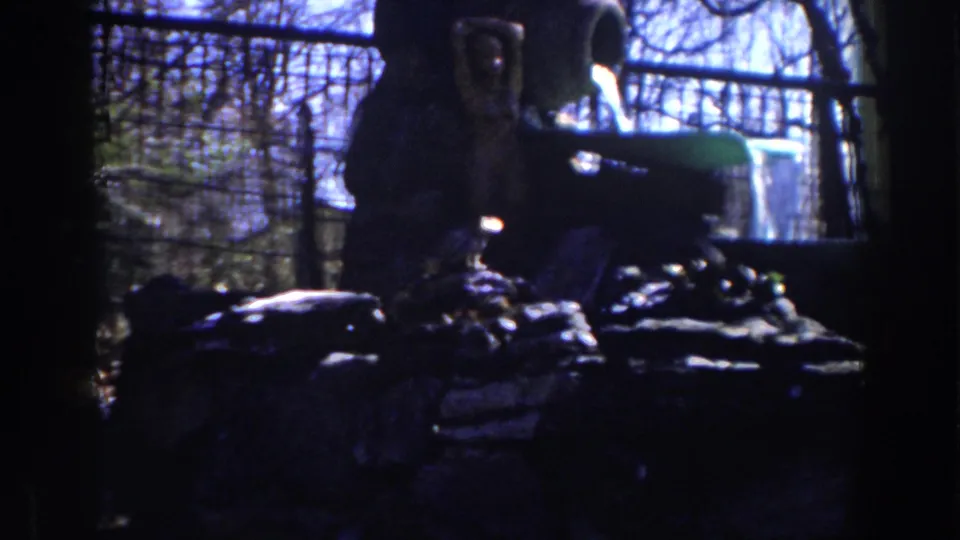 1959 Michigan 8mm frame of a park fountain and surrounding rocks, seen against leafless trees, fence rails and blue daylight.