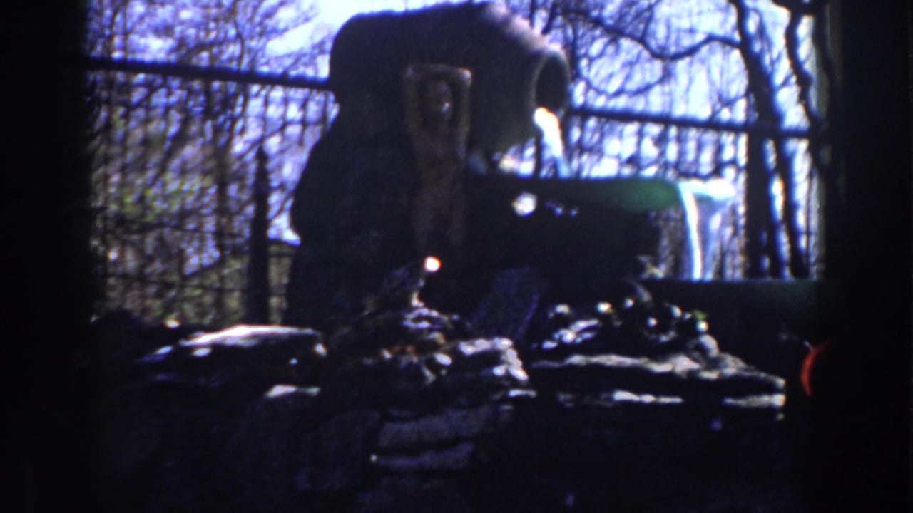1959 Michigan home-movie frame showing a shadowed backyard fountain, rock border, bare trees, and chain-link fence.