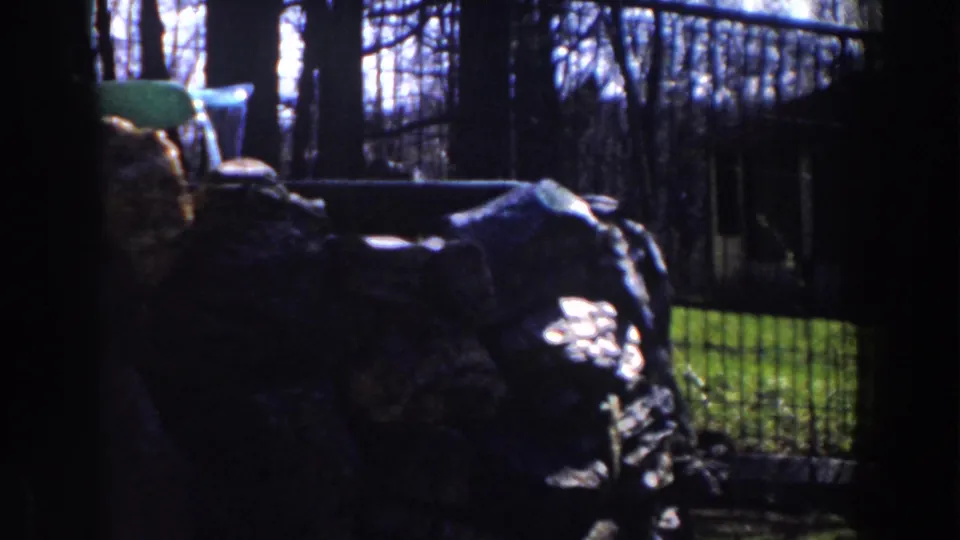 1959 Michigan home-movie frame showing the rocky fountain area beside a chain-link fence, bare trees, and grass.