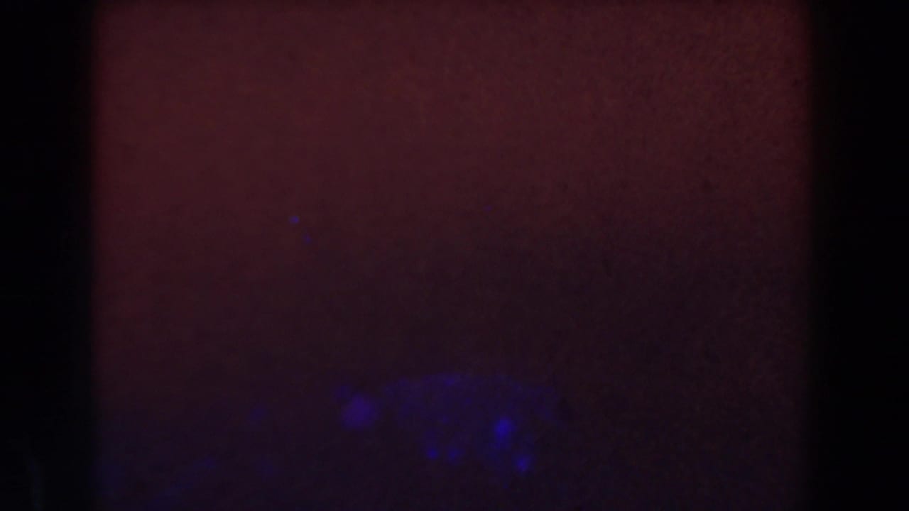 1959 Michigan 8mm frame showing a dark red exposure field, blue light patches, grain, and black film-gate borders.